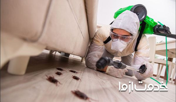 راهنمای انتخاب بهترین شرکت سمپاشی
